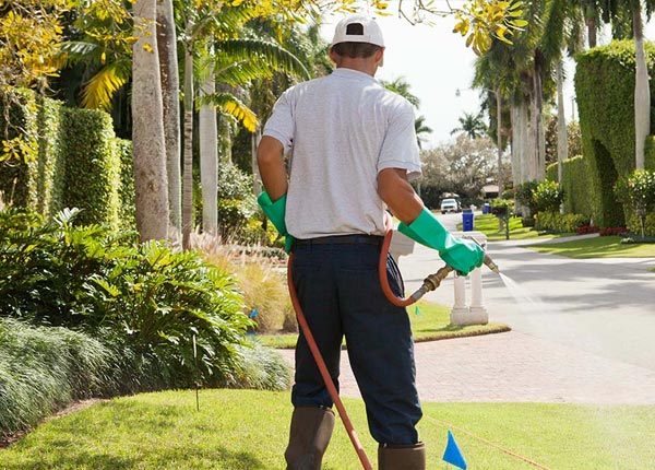 About Gaylord KS Pest Control